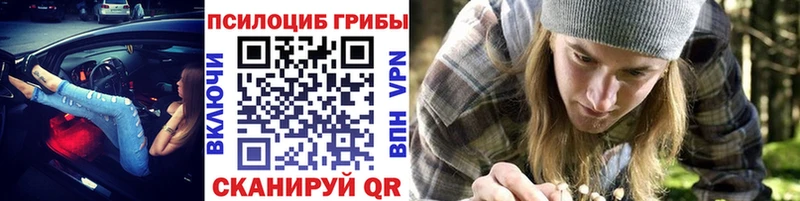 Псилоцибиновые грибы MAGIC MUSHROOMS ОМГ ОМГ сайт Константиновск наркотики